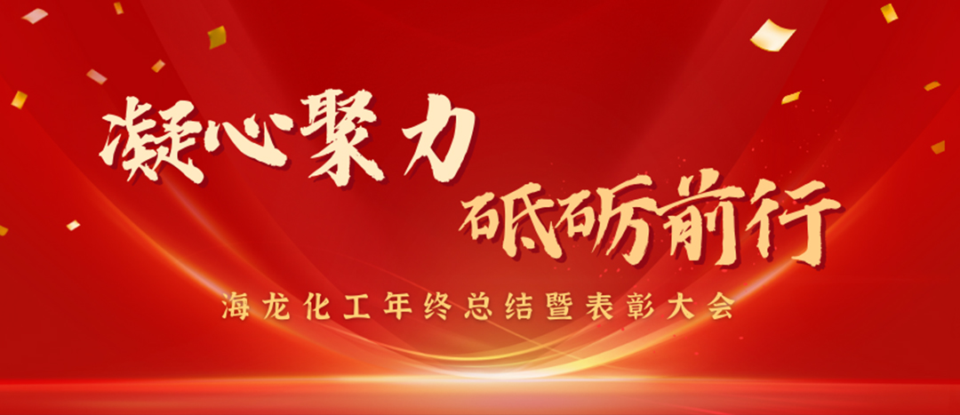表彰 | 凝心聚力，砥礪前行，海龍化工年終總結(jié)暨表彰大會圓滿舉行